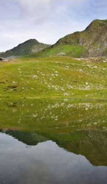 laghi di porcile